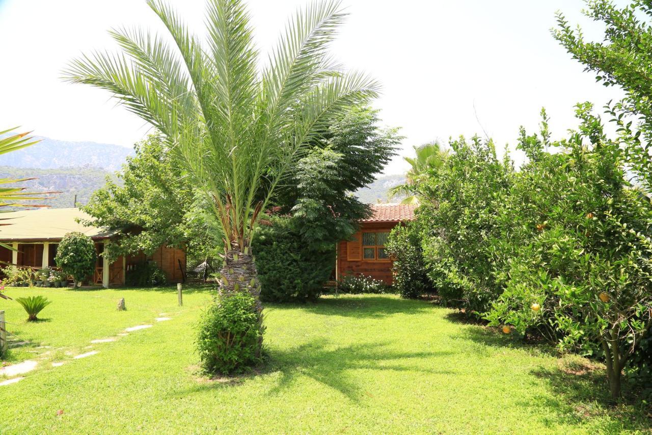 Tunays Pansiyon Bed & Breakfast Cirali Exterior photo