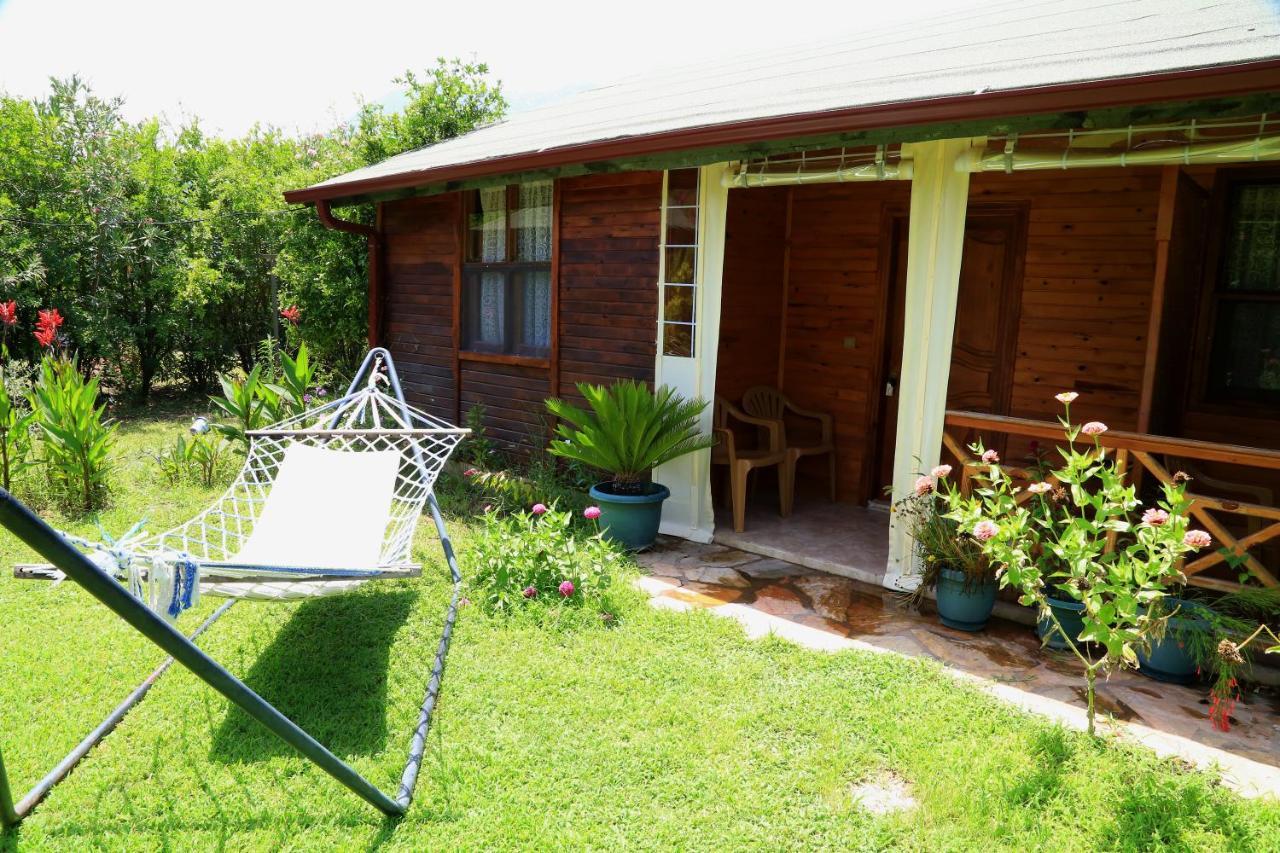 Tunays Pansiyon Bed & Breakfast Cirali Room photo